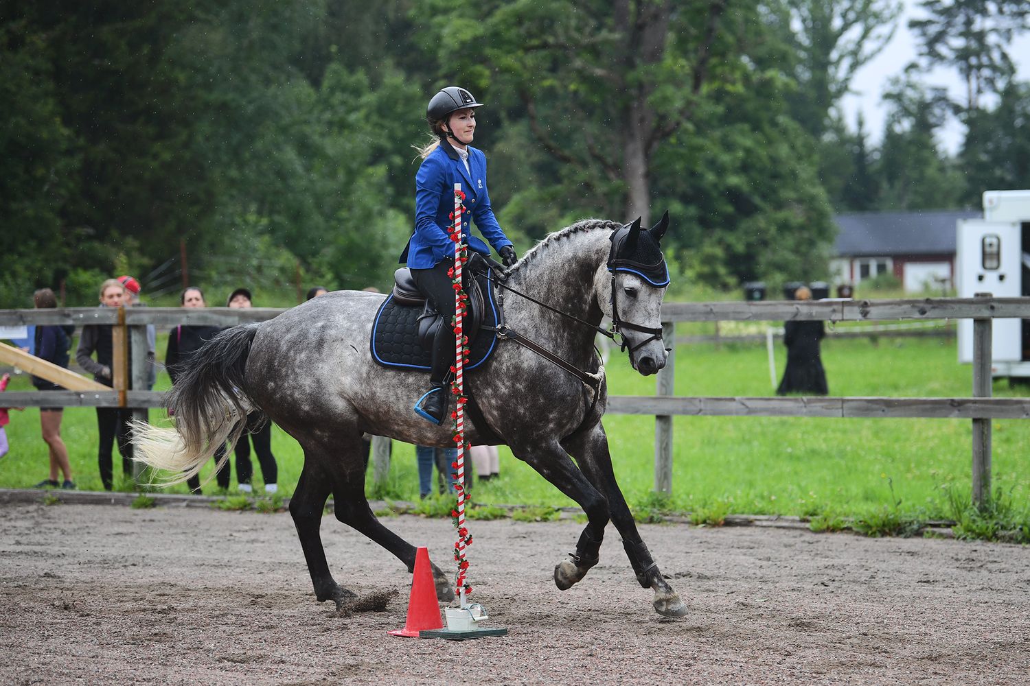 WE, horse