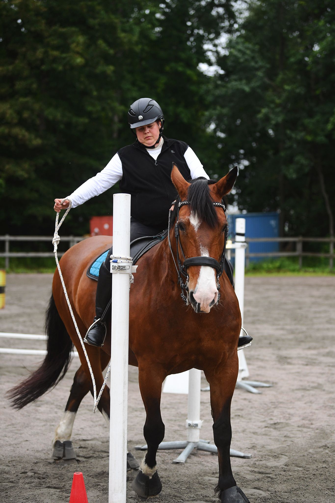 WE, horse