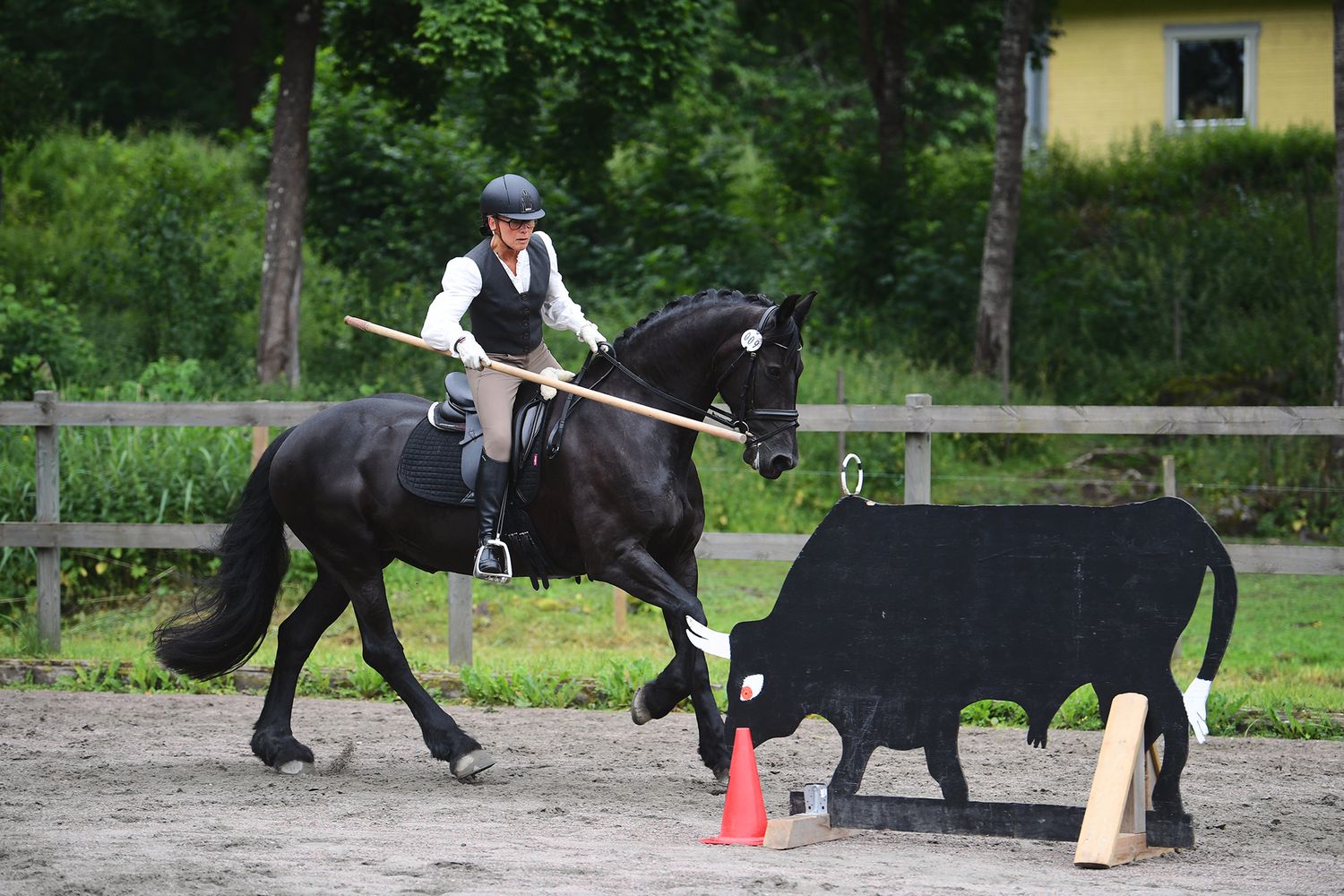 WE, horse