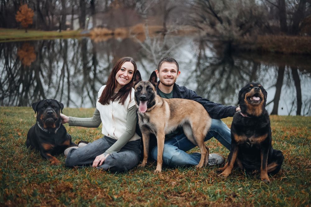 Three dogs and their owners sitting together on fallen autumn leaves in a park setting. Family photography, pet photography