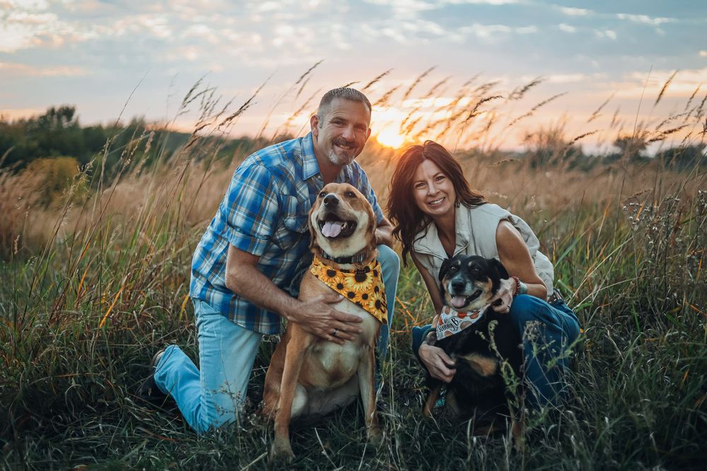 Happy couple poses with their two dogs in a field during golden hour sunset. Family photography