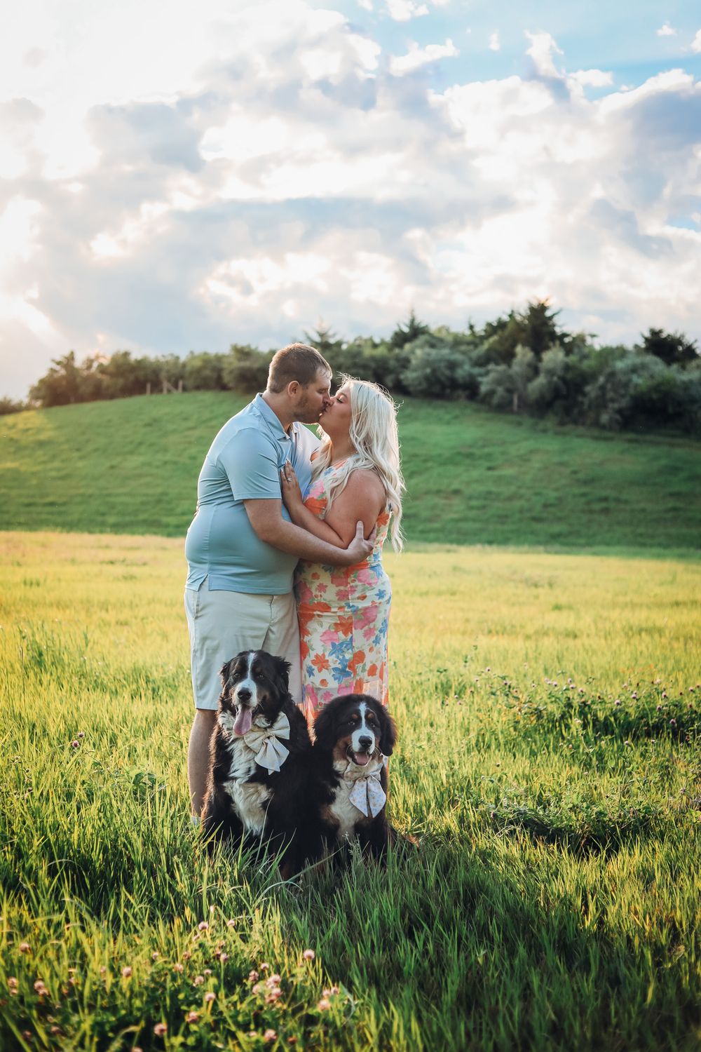 Couple kissing in green field with two Bernese Mountain Dogs, romantic outdoor portrait at sunset.