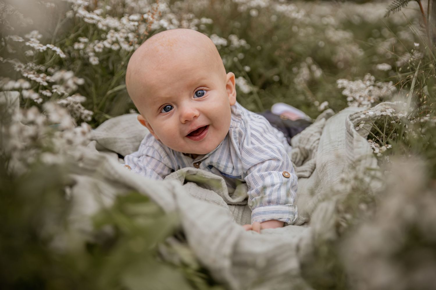 A joyful baby lies among white wildflowers wearing a light colored striped outfit in a natural outdoor setting.