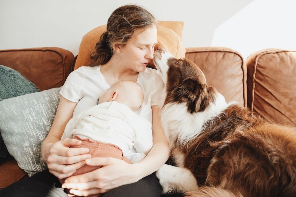 Mother breastfeeding newborn on brown leather sofa with dog lying protectively beside them.