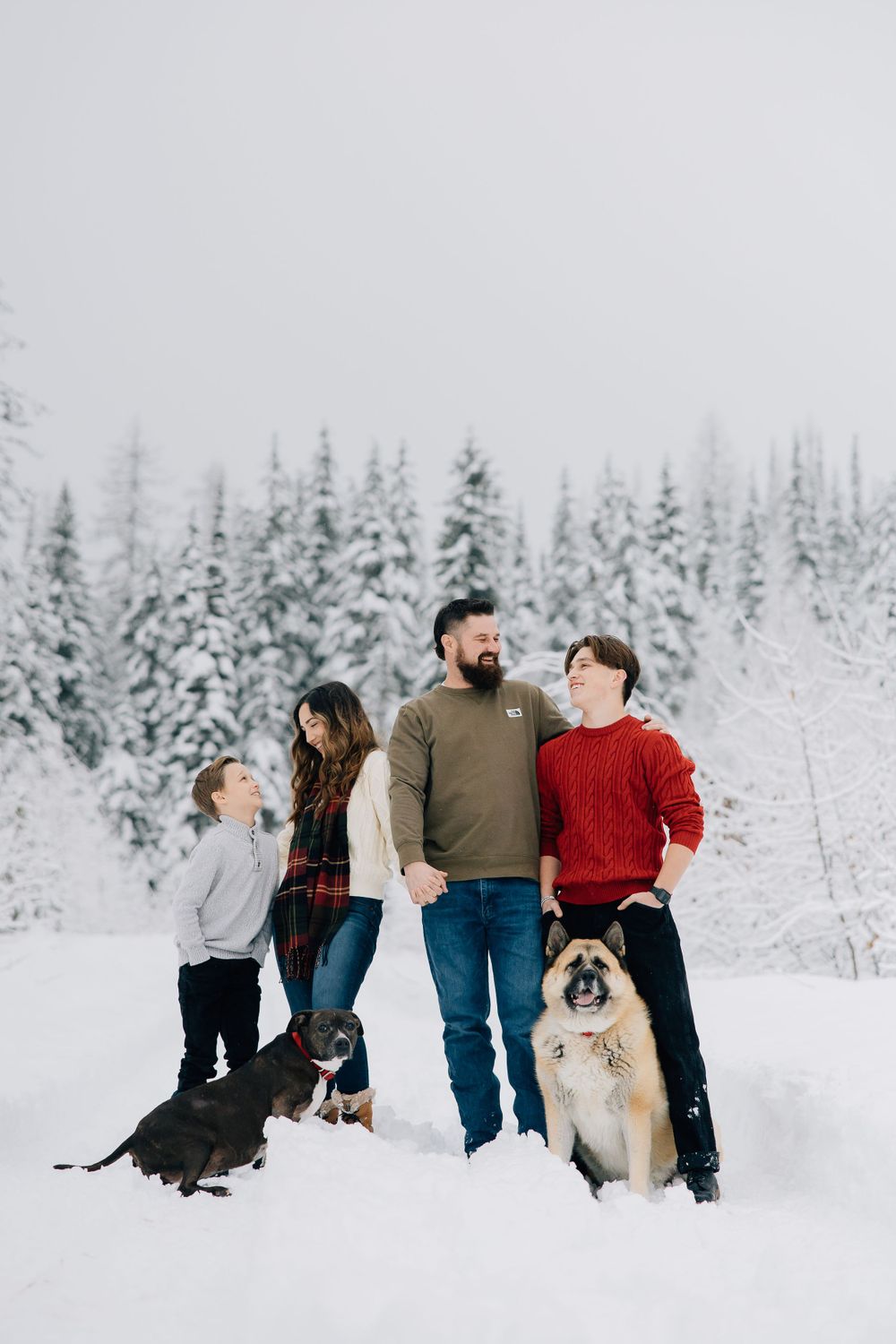 A family enjoys winter scenery in the snow with their two dogs against a backdrop of snow-covered evergreen trees.