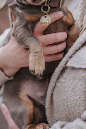 Mensch-Hund-Fotografie: Detailaufnahme einer Hundepfote, die von einer Hand gehalten wird, aufgenommen in der Region München.