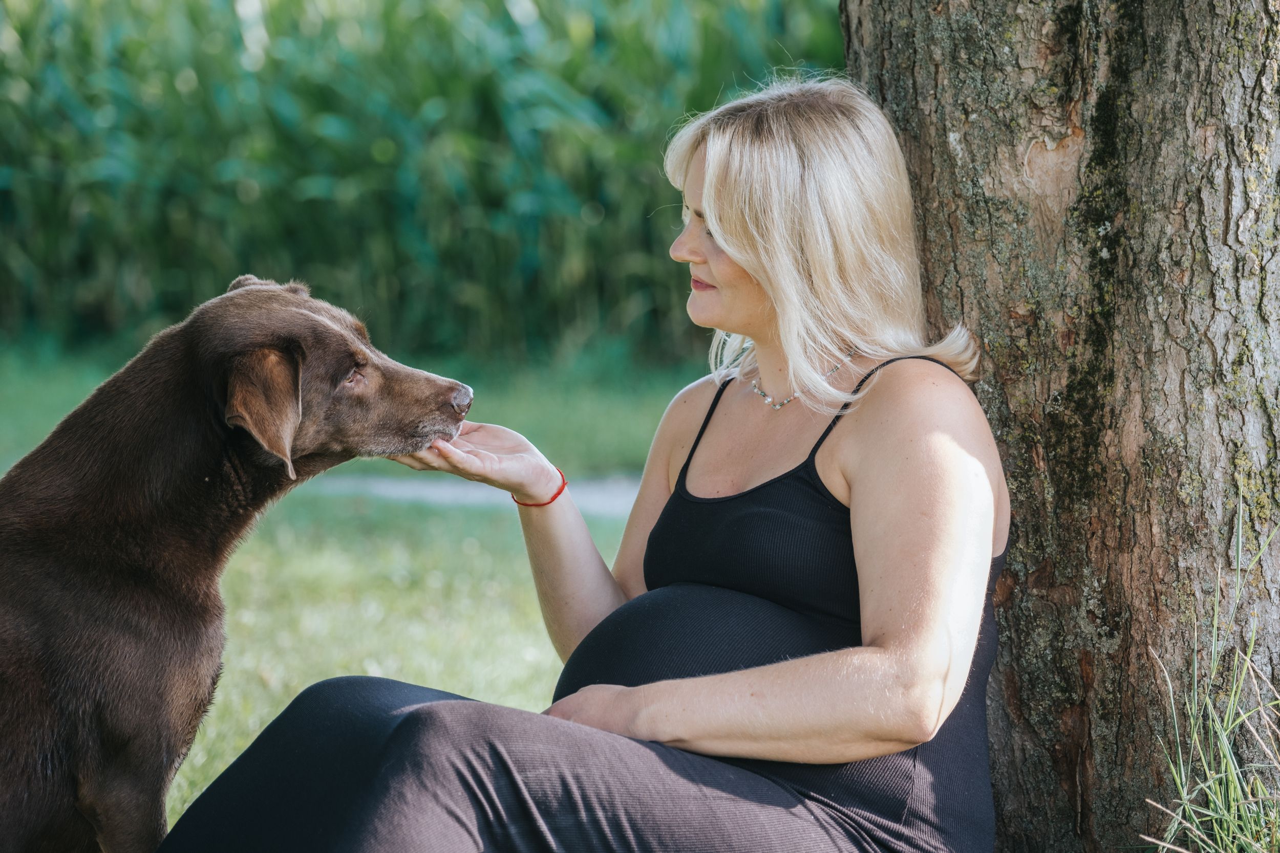 Familienfotografie: Schwangere Frau sitzt an einem Baum und hält die Pfote ihres Hundes, aufgenommen im Grünen bei Freising.