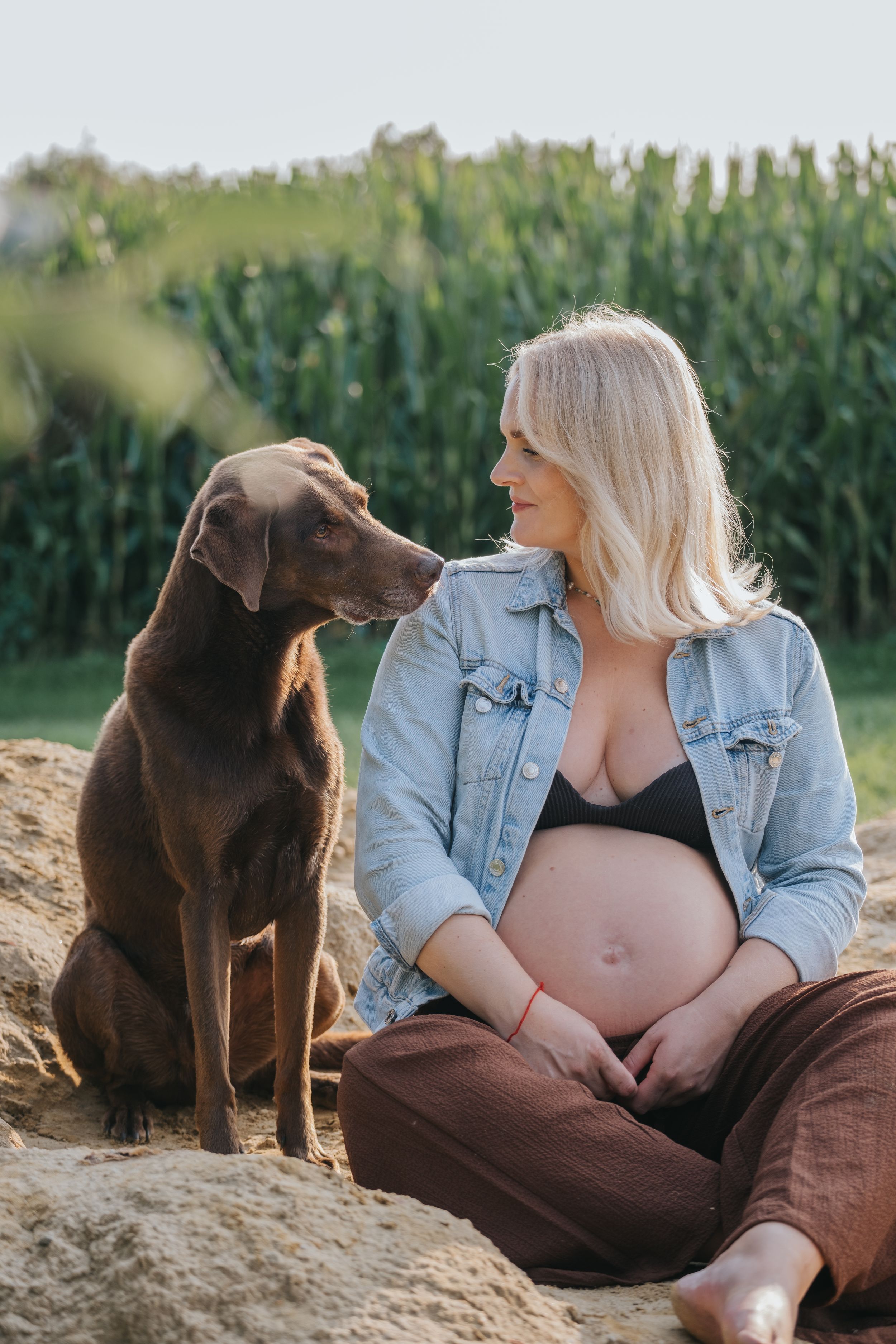Mensch-Hund-Fotografie: Schwangere Frau sitzt  mit ihrem Hund im warmen Licht des Abends, aufgenommen im Umland von München.