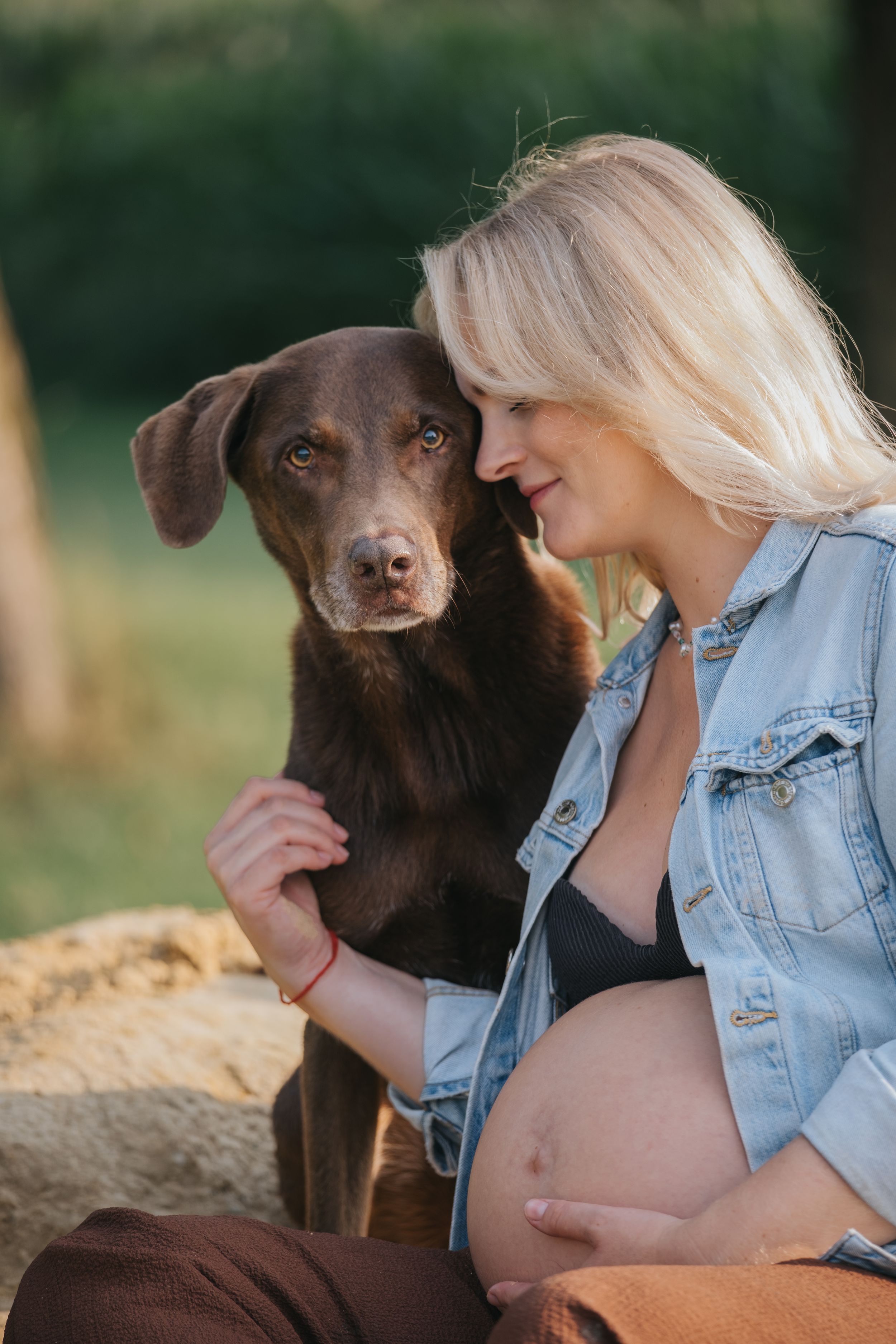 Familienfotografie: Schwangere Frau sitzt im Grünen und streichelt ihren Hund, ruhiger Moment nahe Pfaffenhofen a. d. Ilm.
