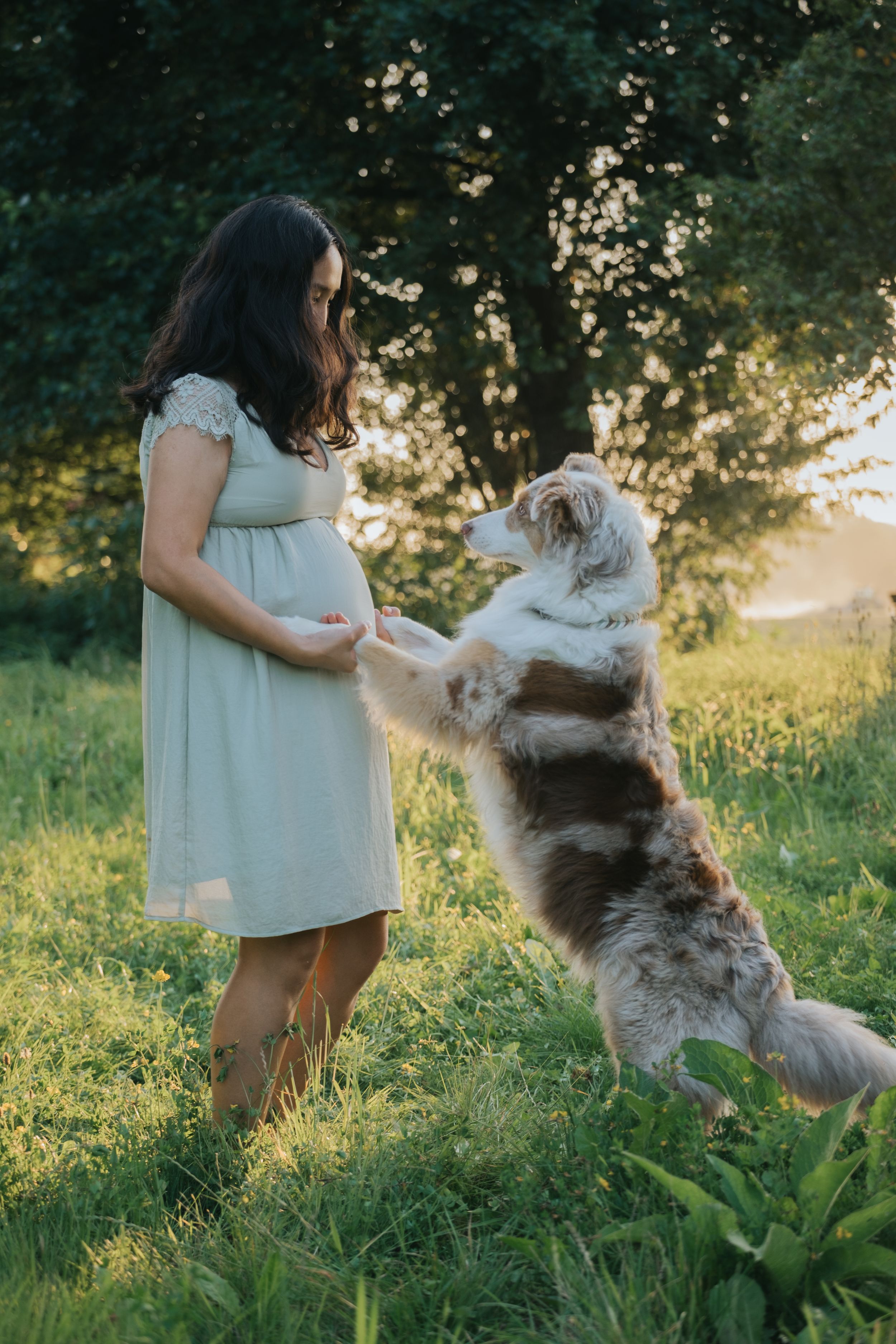 Familienfotografie: Frau steht mit ihrem Hund auf einer Wiese im warmen Abendlicht, fotografiert im Umland von München.