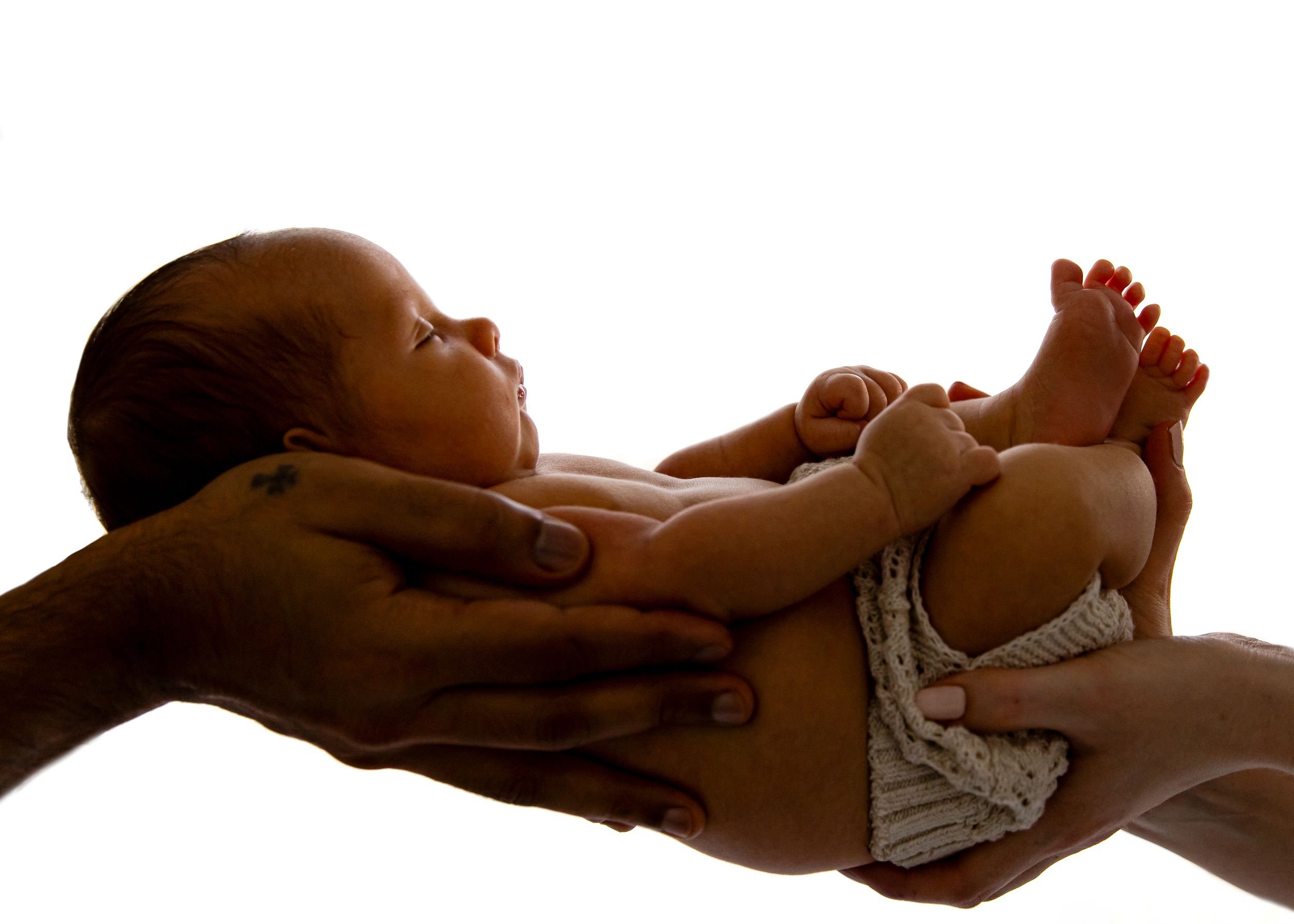 Carlene Thurston Photography - `at-home newborn Silhouette image of newborn baby being held in parents hand against a bright white backdrop.