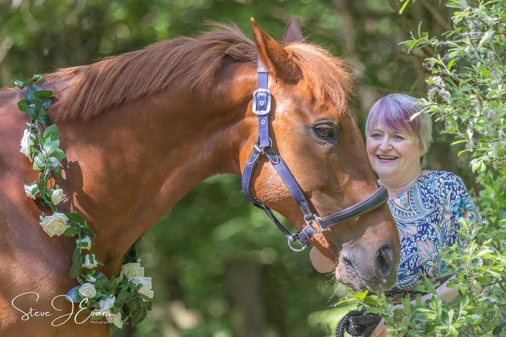 Horse photography in and around Filey