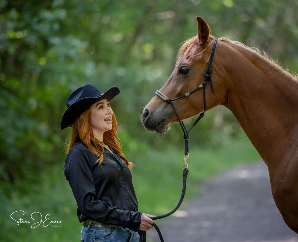 Horse photography in and around Filey