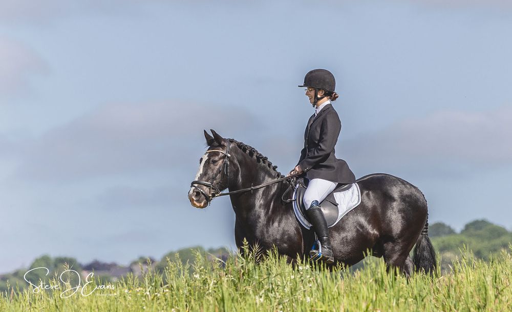 Horse photography in and around Filey