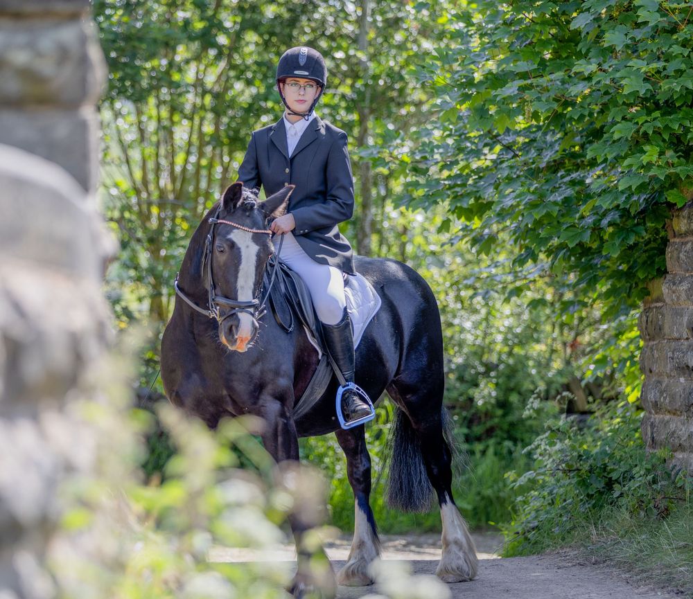 Horse photography in and around Filey