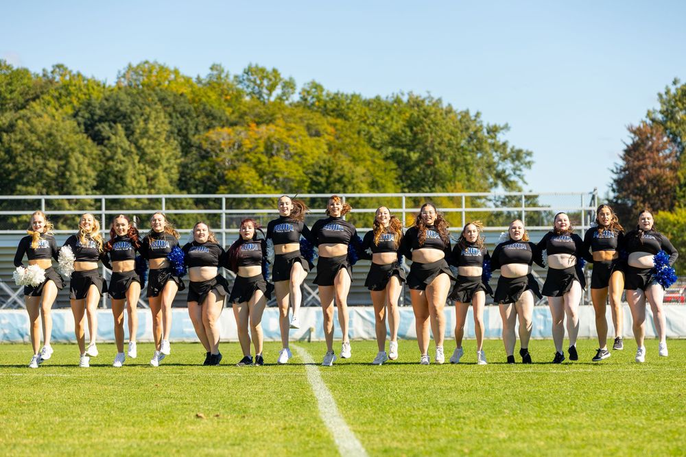 Cheerleading squad posing together on a green football field with trees and blue sky in the background.