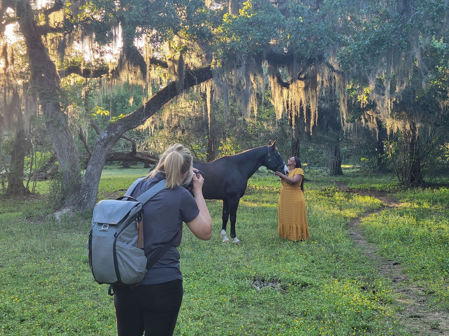 Houston equine photographer using a calm, unhurried approach during a horse portrait session.