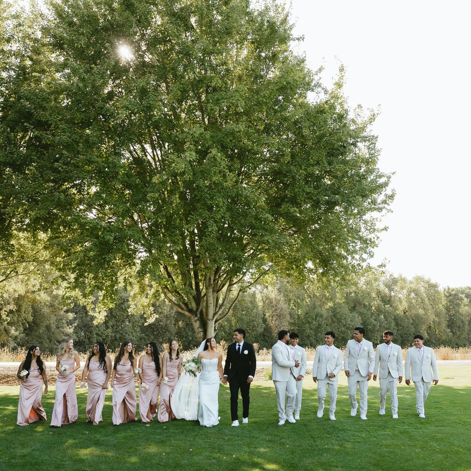 Wedding party in white and blush attire standing beneath a large green tree on a sunny day.