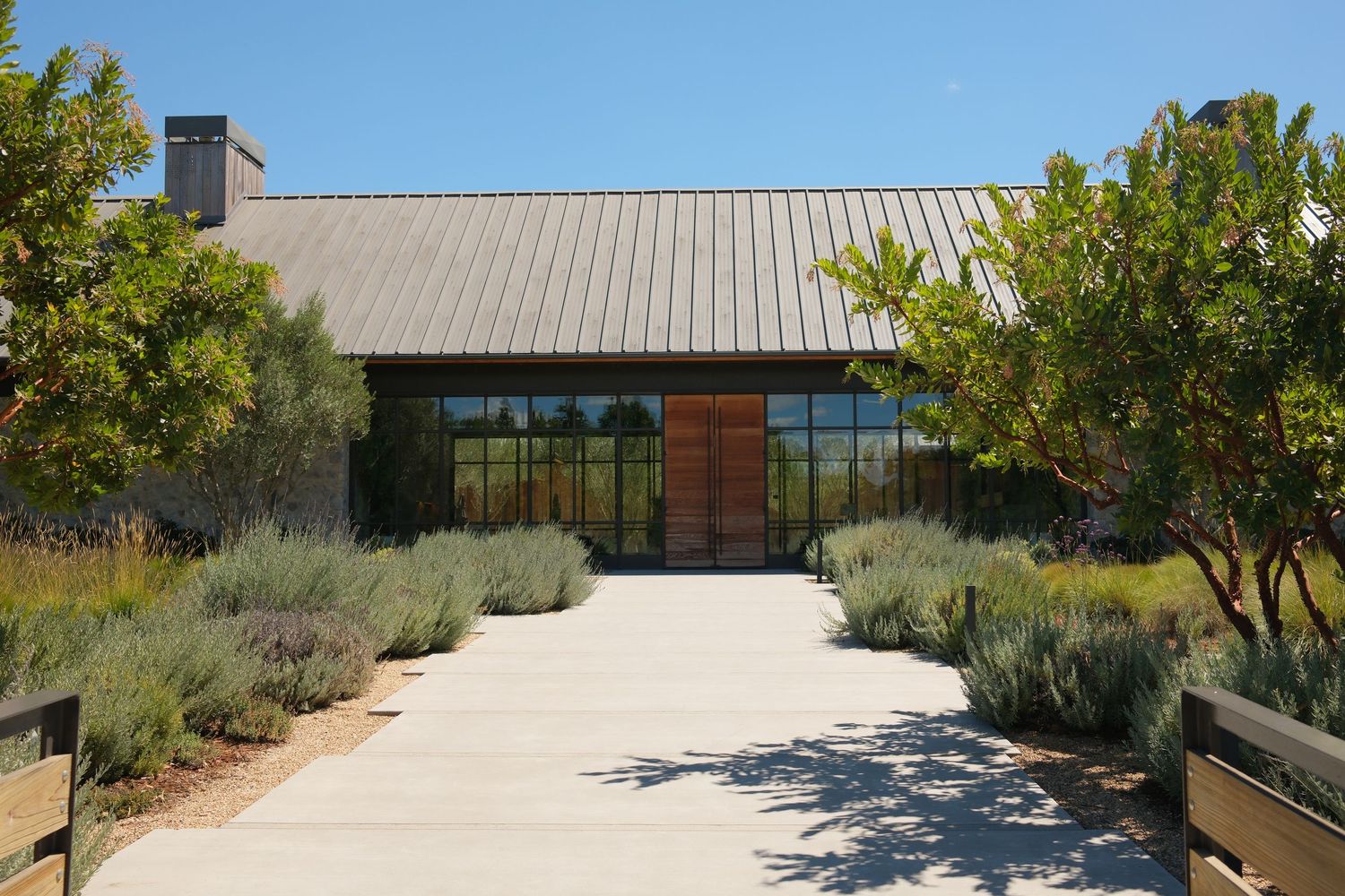 Modern winery entrance with concrete pathway, lavender borders, steel-framed windows, and wood door under a metal roof.