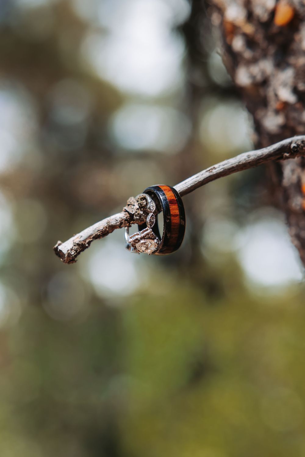 Two wedding rings, one wood-inlaid band and one diamond ring, displayed on a rustic tree branch outdoors.