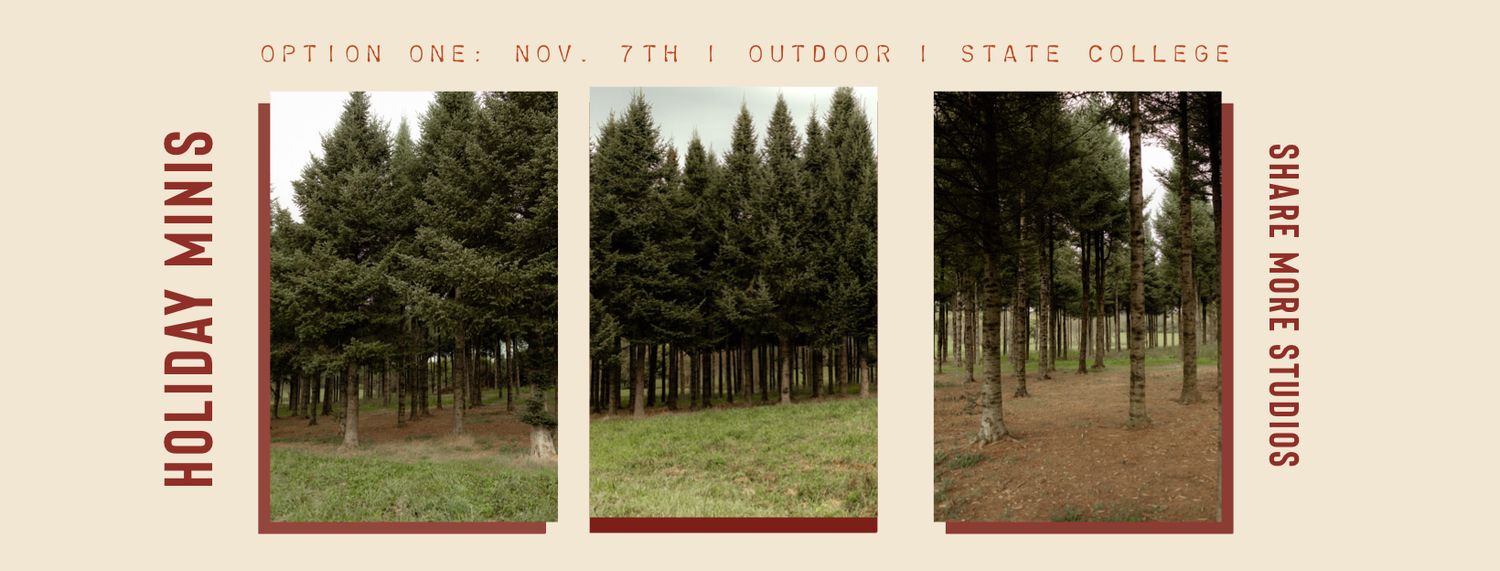 Tall evergreen trees in a forest clearing during a holiday mini photo session at State College outdoor location.