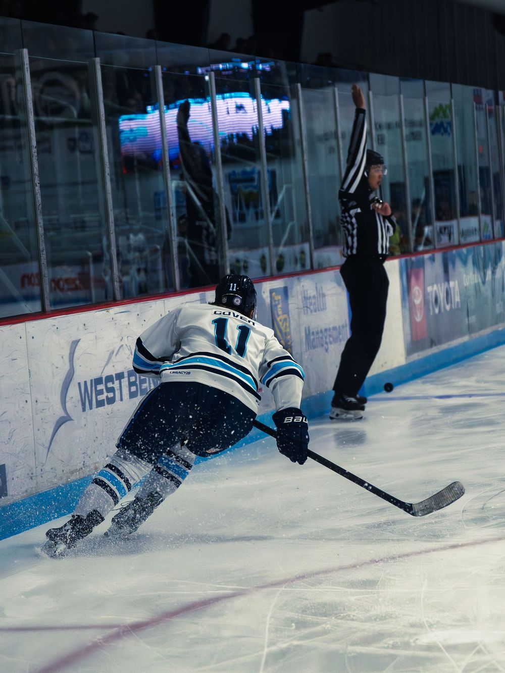 A Madison Capitols player number 11 stretches low reaching for the puck along the boards as a referee raises his arm to signal a call.