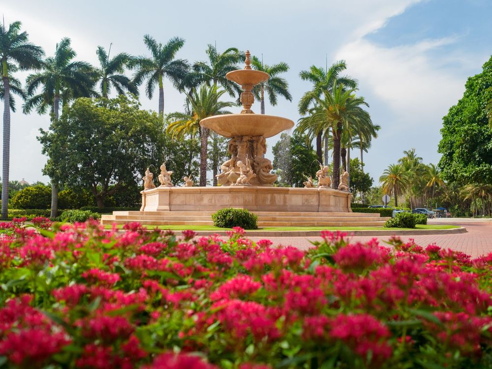 Ornate stone fountain surrounded by vibrant pink flowers and tall palm trees in tropical garden.