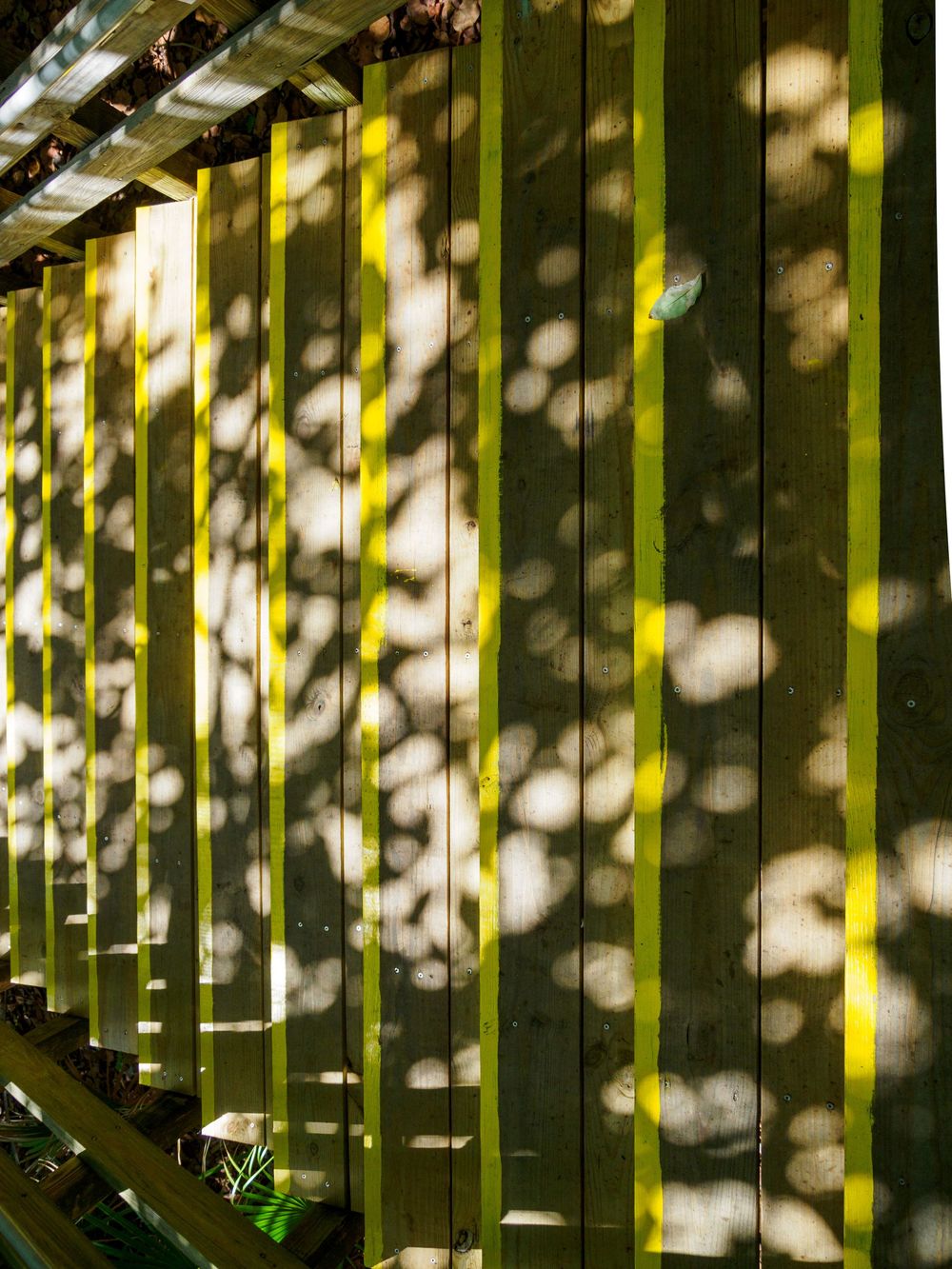 Sunlight and tree shadows cast dappled patterns on a green wooden fence with yellow trim.