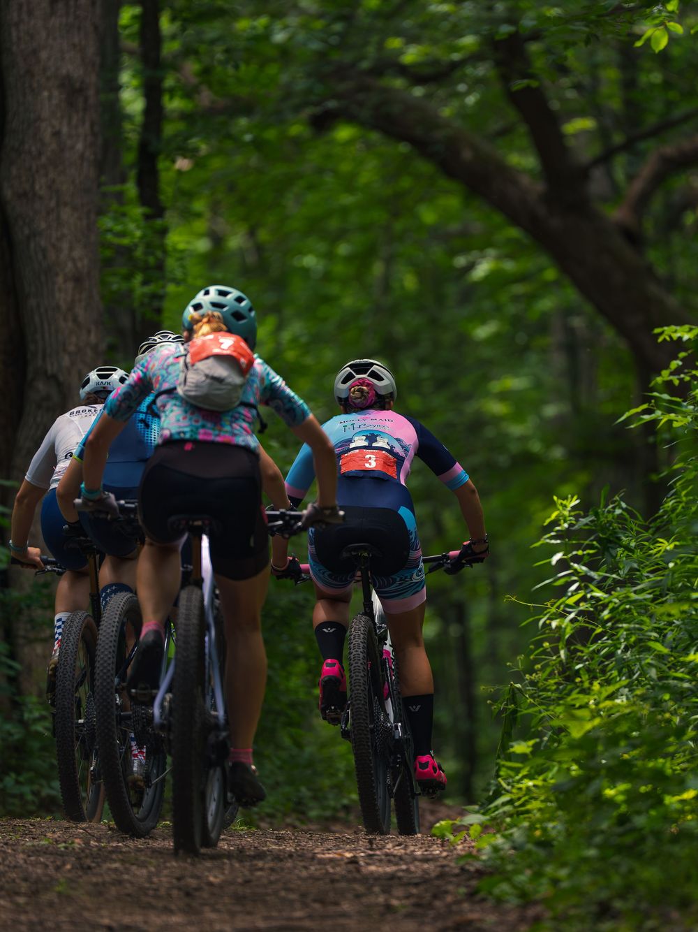 A group of mountain bike racers rides away from the camera up a shaded dirt trail through dense green woods, numbered bibs on their backs.