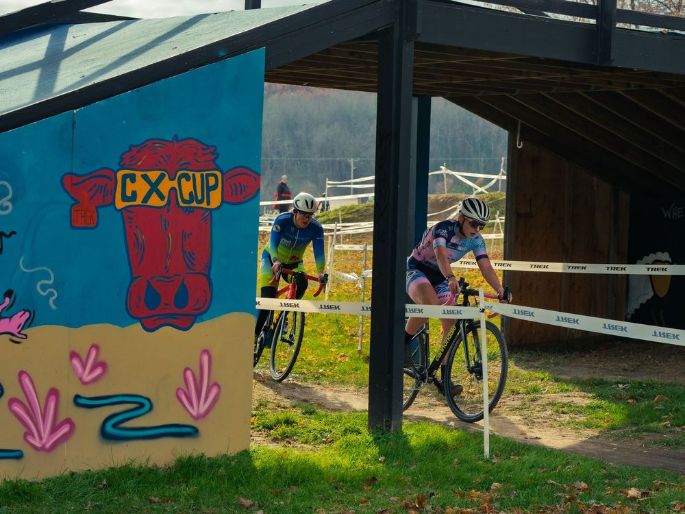 Two cyclocross racers ride past a colorful CX CUP cow mural at the Trek CX Cup, TREK course tape strung under a wooden shelter behind them.