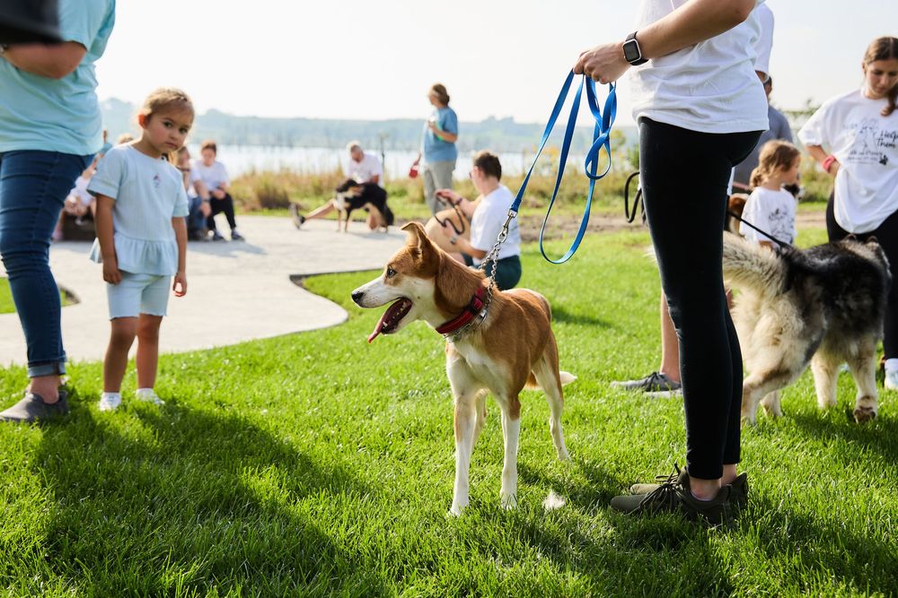 Dogs on leashes with children and adults gathered on green grass near waterfront at outdoor pet event.