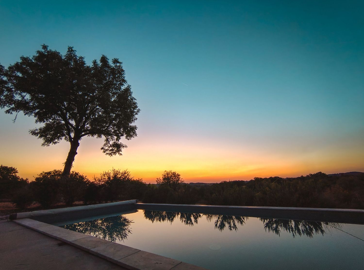 Coucher de soleil sur un paysage de nature avec la silhouette d'un arbre sur une piscine en Wallonie