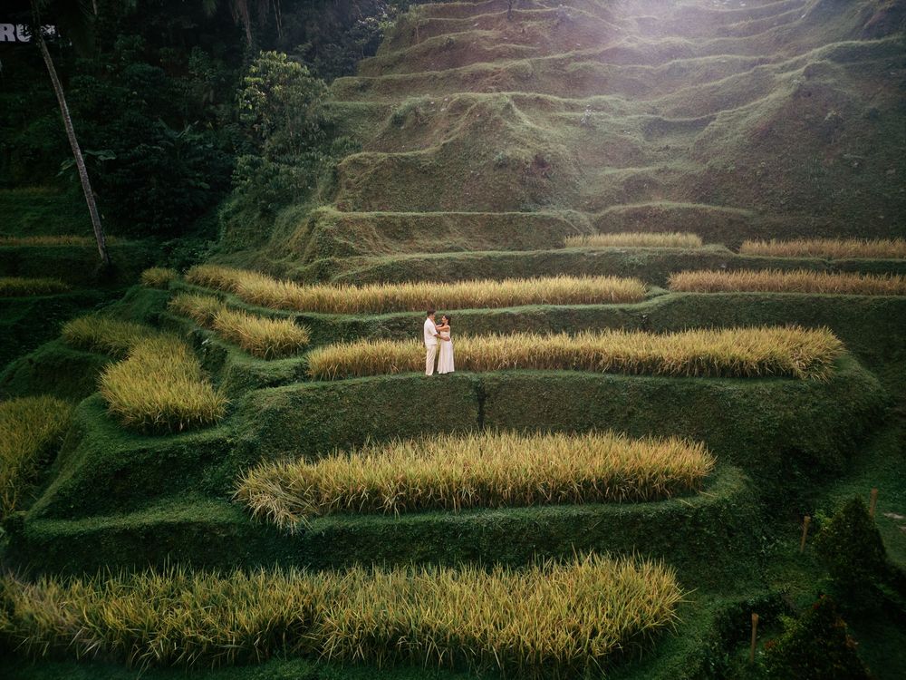 Engagement proposal photography at Alas Harum Ubud