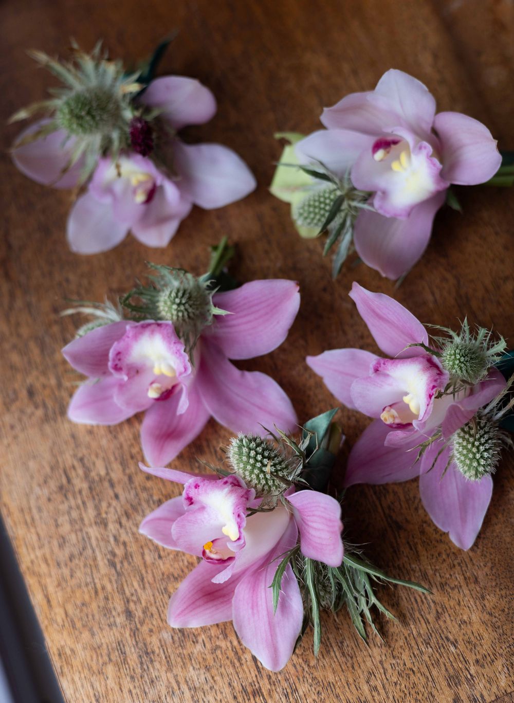 Pink cymbidium orchids with thistle accents arranged on a wooden surface for a wedding boutonniere display.