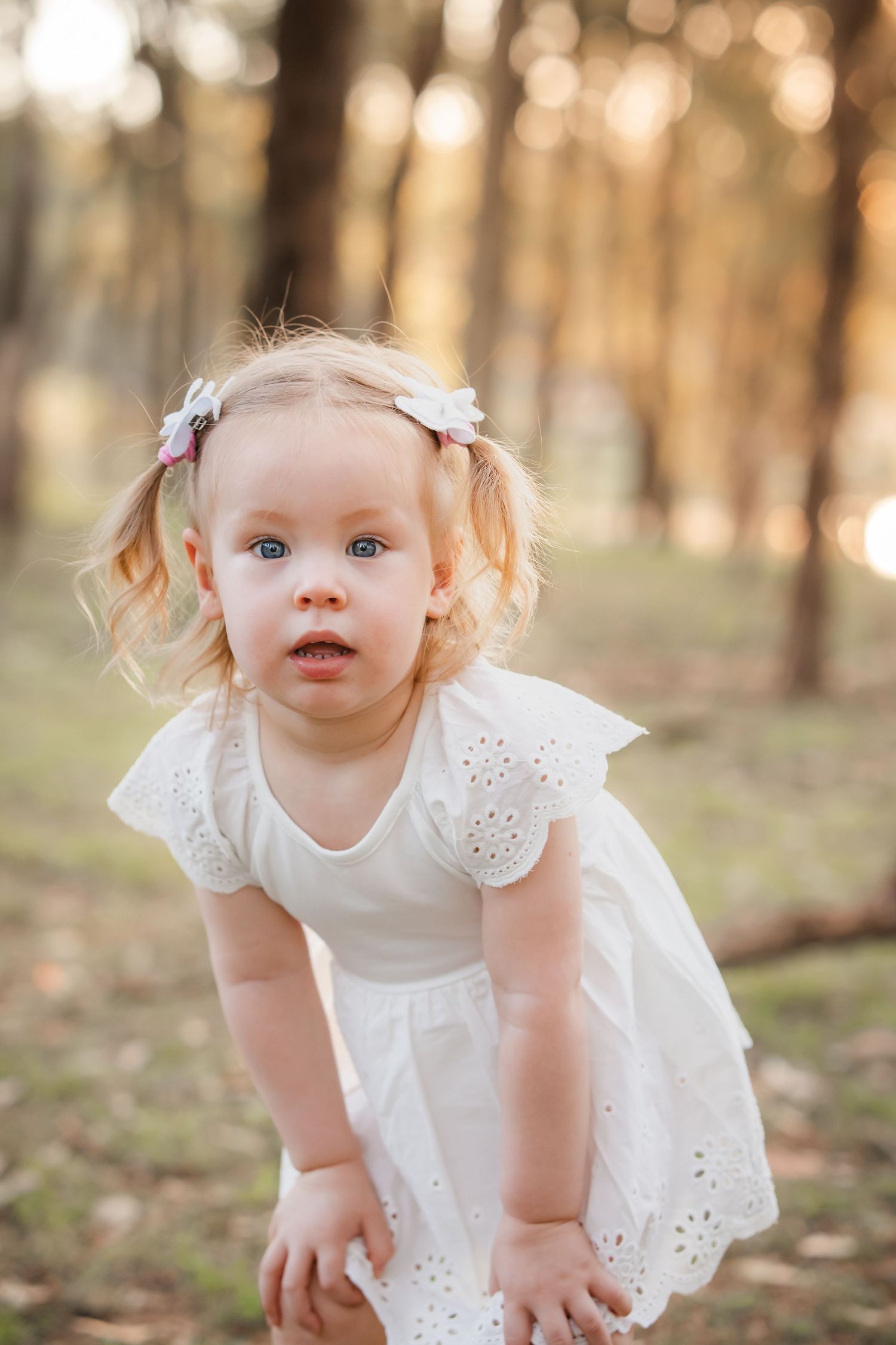 A toddler girl in a white eyelet dress with pigtails plays outdoors in a sunlit tree patch at Rouse Hill Regional Park.