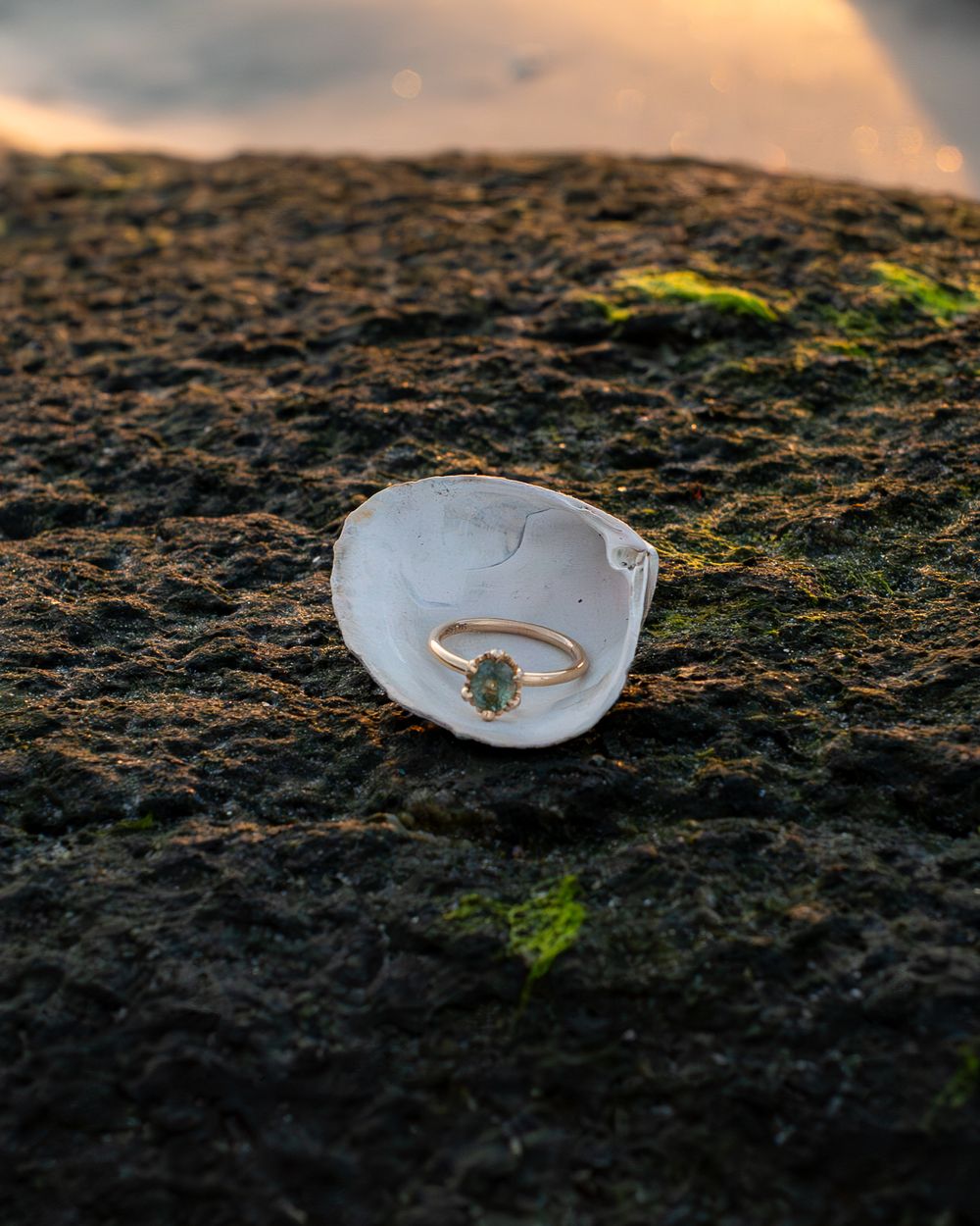 Gold ring with green gemstone displayed on a white shell fragment atop a mossy rock at golden hour.