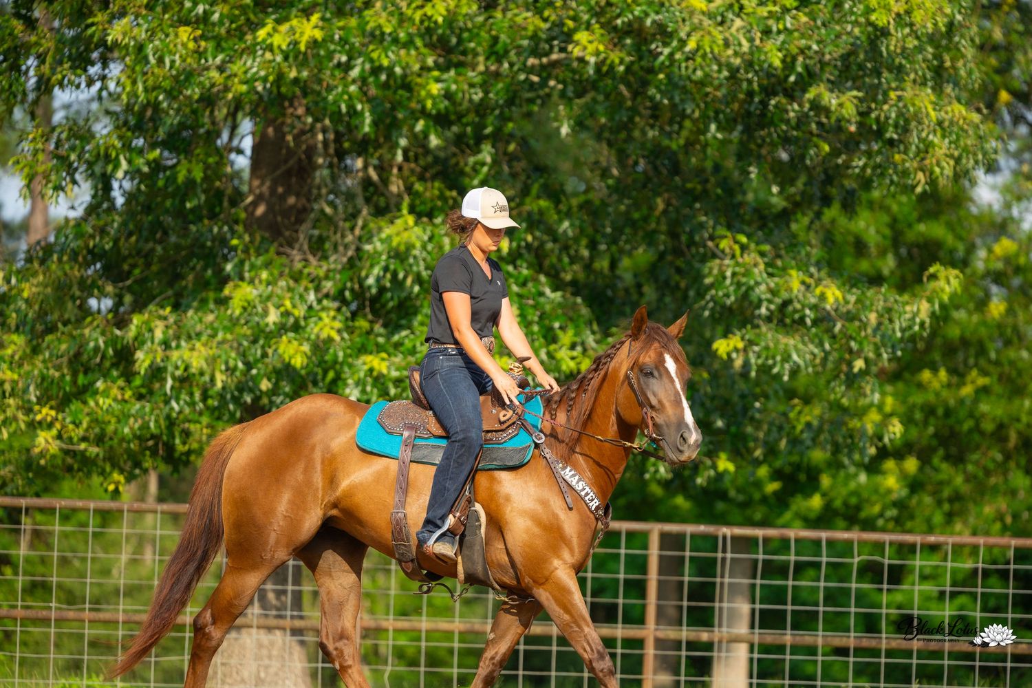 Person riding a chestnut horse with teal saddle pad in a green fenced arena surrounded by lush trees.
