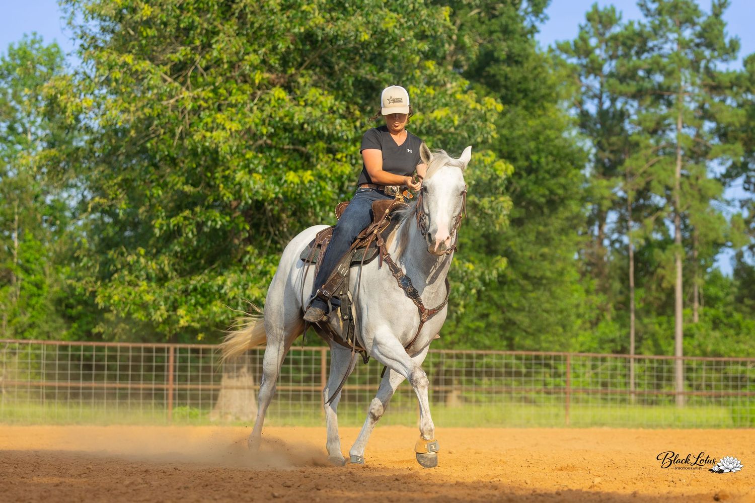 A rider in a white hat gallops a gray horse in a sandy arena surrounded by lush green trees.