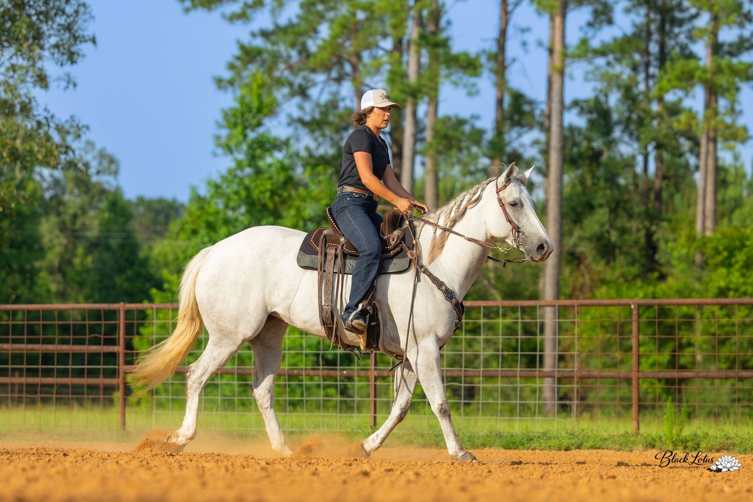 A rider in a cowboy hat guides a white horse through a sandy arena surrounded by red fencing and tall green trees.