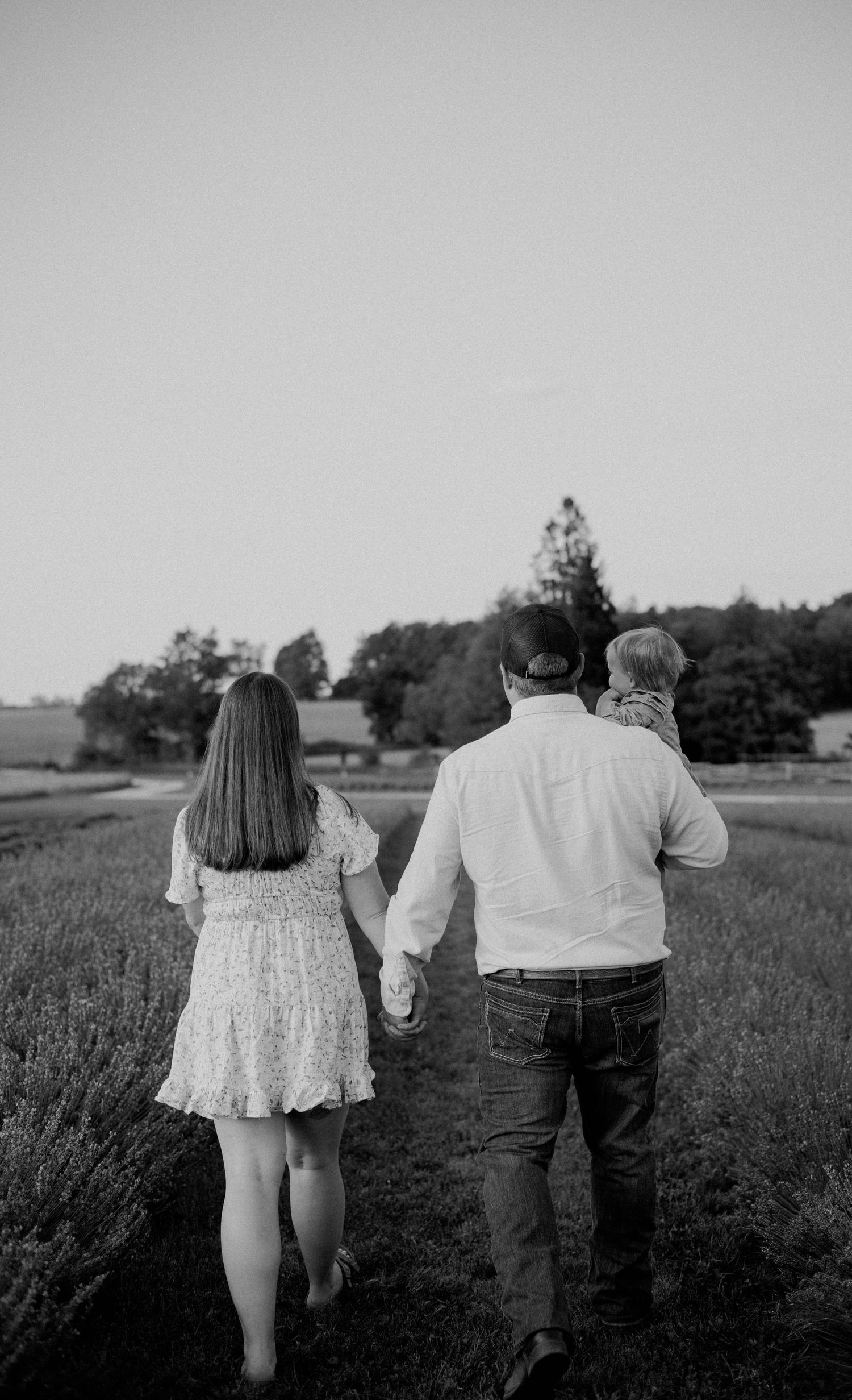 Black and white image of family walking hand-in-hand through lavender field at dusk.