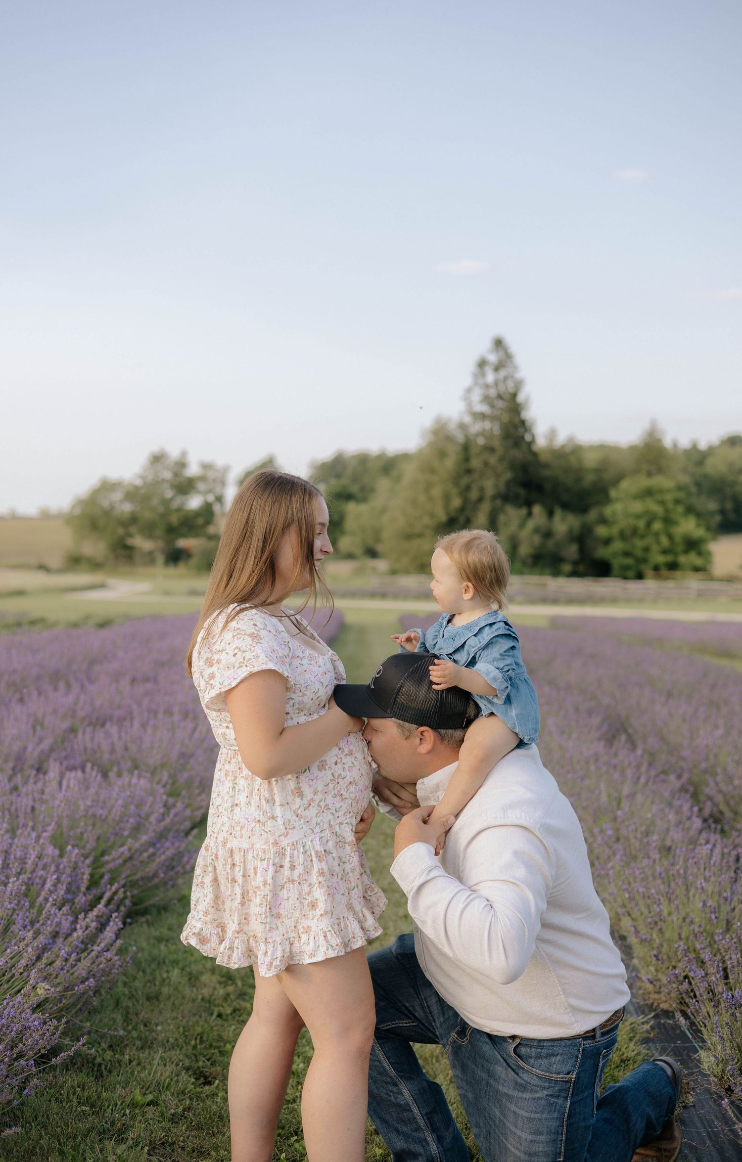 Family in lavender field, man kneeling kissing pregnant belly while holding toddler.