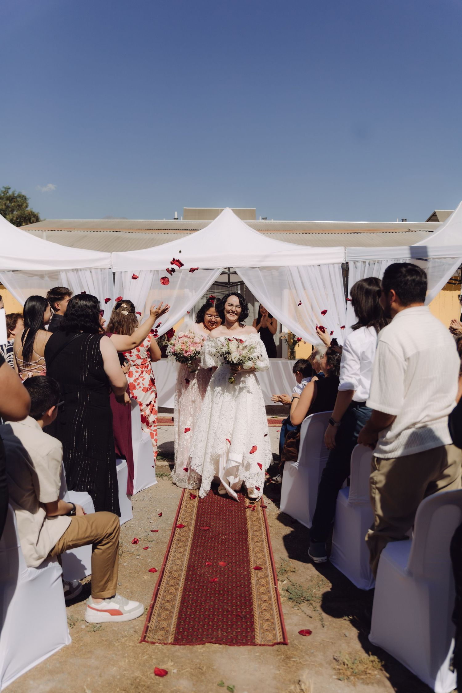 Two brides in white gowns walk down red carpet aisle as guests throw rose petals outdoors.