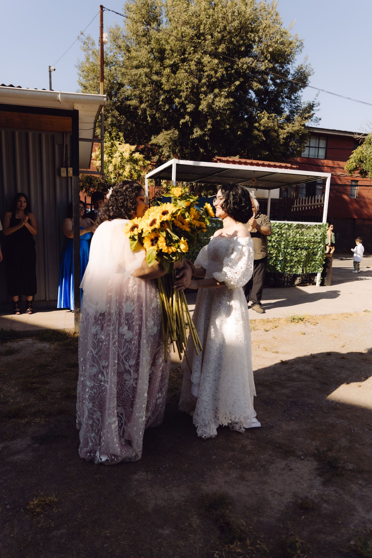 Two brides in white lace dresses share sunflower bouquet near decorated arch at outdoor wedding.