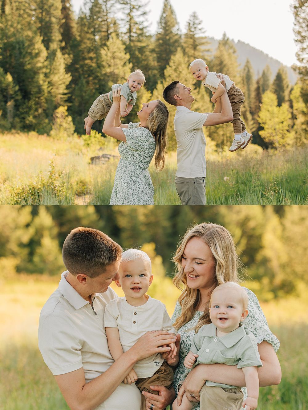 Family photos in a sunny meadow with pine trees, parents lifting baby and holding two young children.