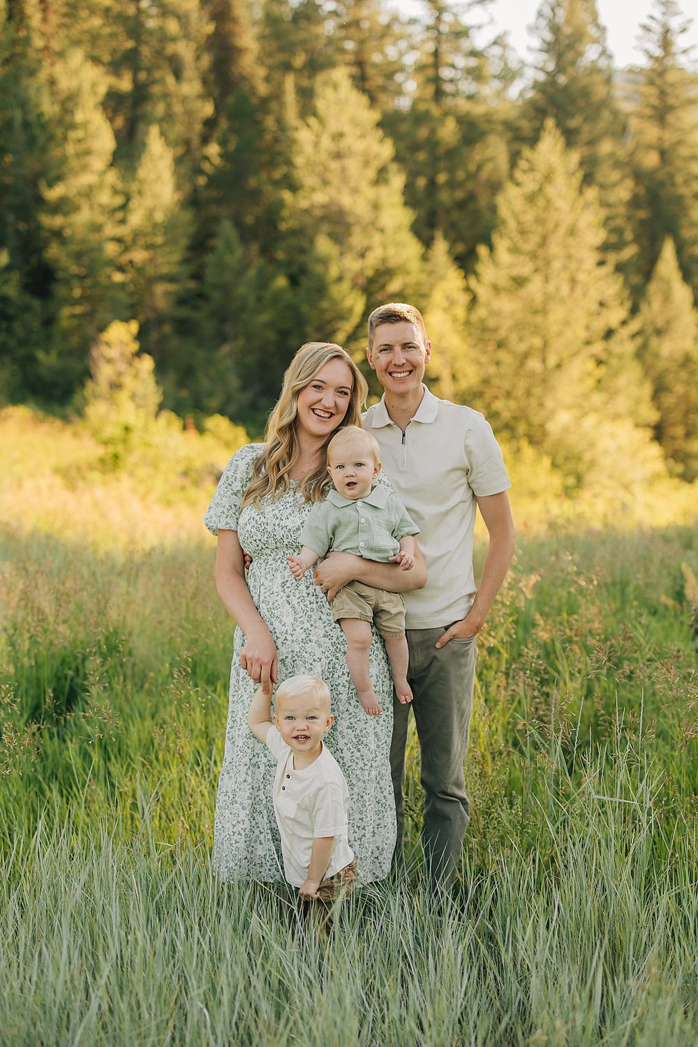 Family of four posing in a lush green meadow surrounded by tall pine trees during golden hour.