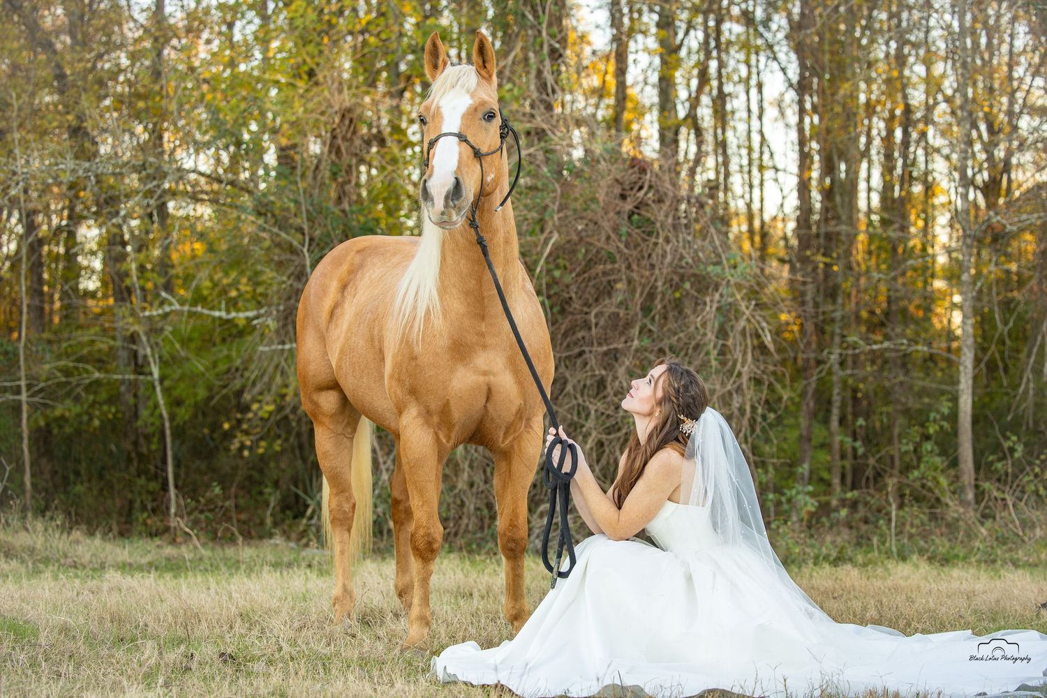 Bride in white wedding dress kneeling beside a golden palomino horse in a scenic autumn field.