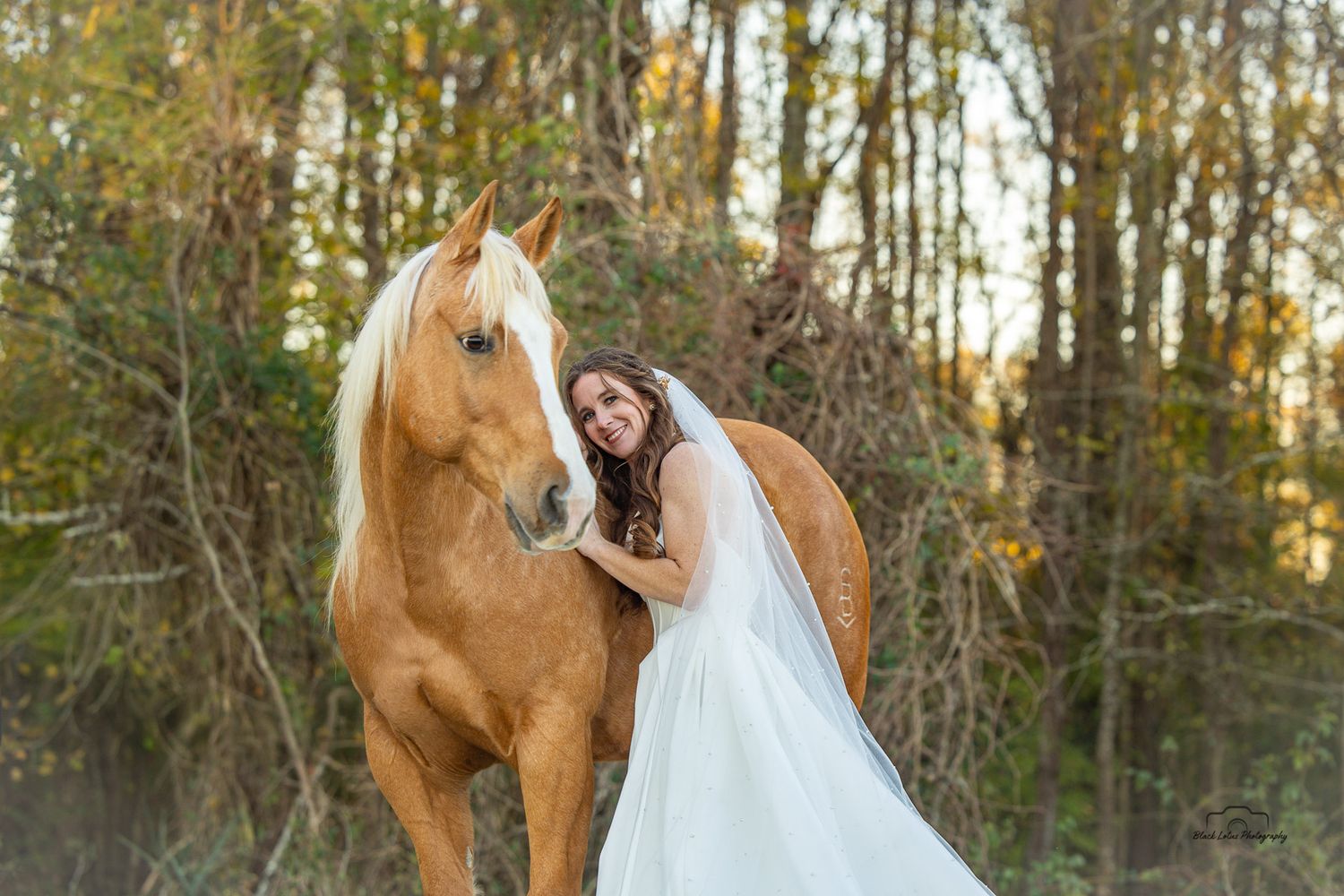 Bride in white wedding dress and veil posing with a palomino horse in a forest setting.