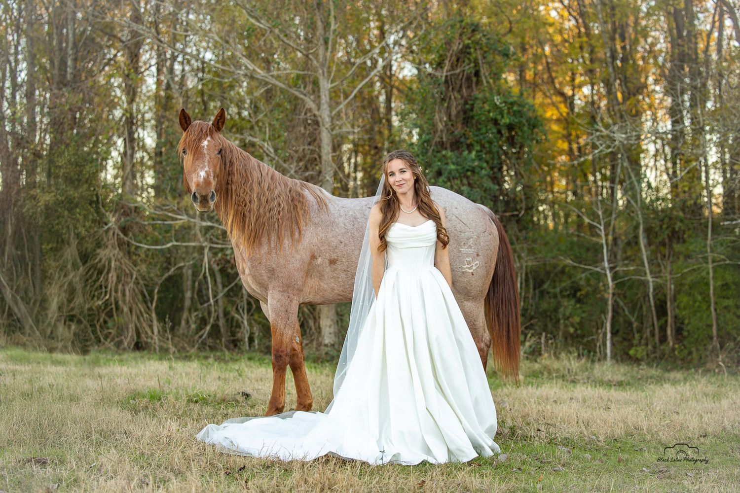 Bride in white gown poses beside a chestnut horse in a scenic outdoor field with autumn trees.