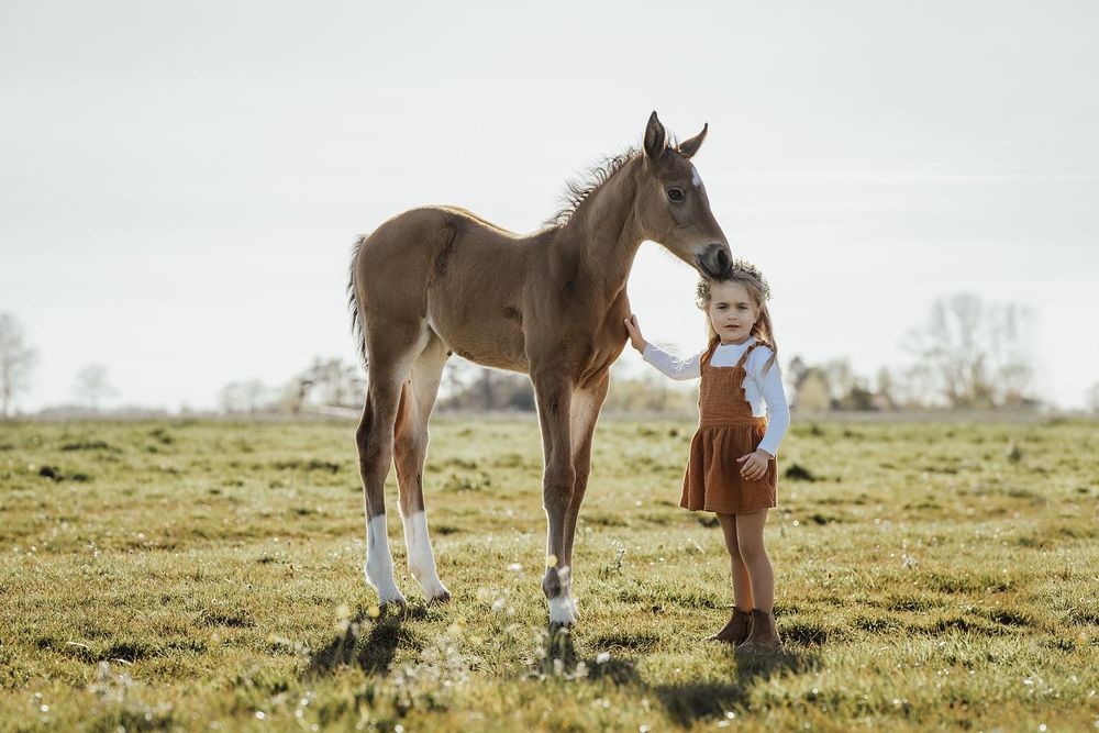 Young girl in a rust pinafore stands beside a chestnut foal with white socks in a wide, open grassy field.