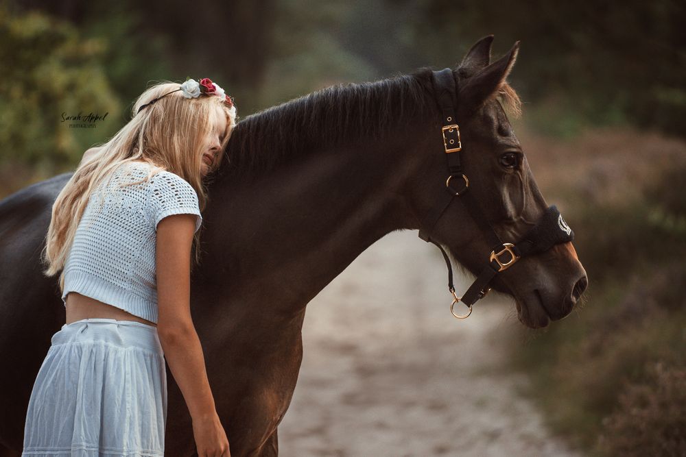 Blondes Mädchen mit Blumenkranz im Haar lehnt sich liebevoll an ein dunkelbraunes Pferd mit Halfter auf einem sonnigen Waldweg.